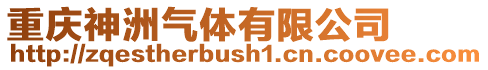 重慶神洲氣體有限公司
