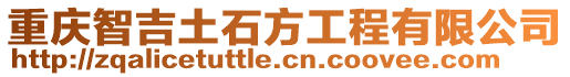 重慶智吉土石方工程有限公司