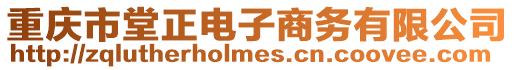 重慶市堂正電子商務有限公司
