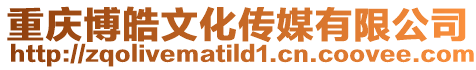 重慶博皓文化傳媒有限公司