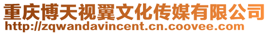 重慶博天視翼文化傳媒有限公司