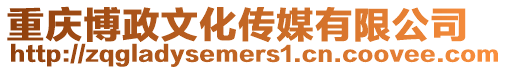 重慶博政文化傳媒有限公司