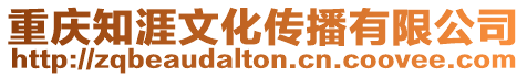 重慶知涯文化傳播有限公司