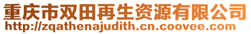 重慶市雙田再生資源有限公司