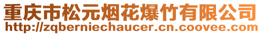 重慶市松元煙花爆竹有限公司