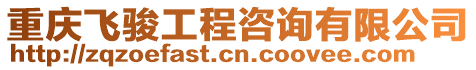 重慶飛駿工程咨詢有限公司