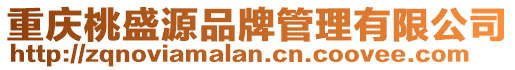 重慶桃盛源品牌管理有限公司