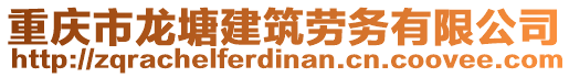 重慶市龍?zhí)两ㄖ趧?wù)有限公司