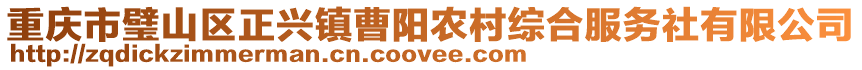 重慶市璧山區(qū)正興鎮(zhèn)曹陽農(nóng)村綜合服務(wù)社有限公司