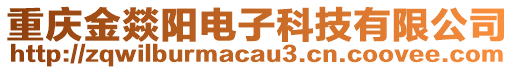 重慶金燚陽(yáng)電子科技有限公司