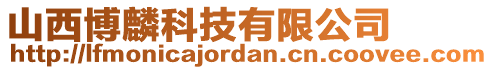 山西博麟科技有限公司