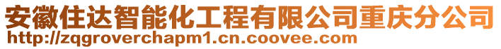 安徽住達(dá)智能化工程有限公司重慶分公司