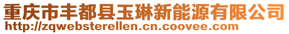 重慶市豐都縣玉琳新能源有限公司