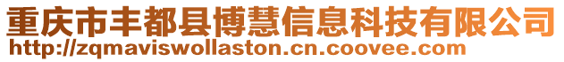 重慶市豐都縣博慧信息科技有限公司