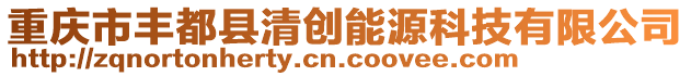 重慶市豐都縣清創能源科技有限公司
