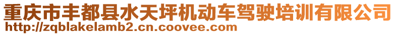 重慶市豐都縣水天坪機(jī)動(dòng)車(chē)駕駛培訓(xùn)有限公司