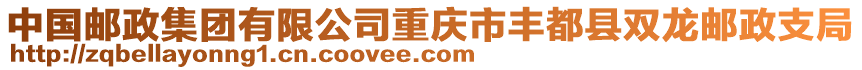 中國郵政集團有限公司重慶市豐都縣雙龍郵政支局