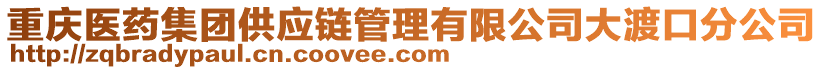 重慶醫藥集團供應鏈管理有限公司大渡口分公司