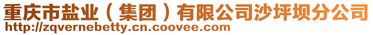 重慶市鹽業(集團)有限公司沙坪壩分公司