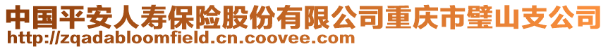 中國平安人壽保險股份有限公司重慶市璧山支公司