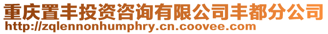 重慶置豐投資咨詢有限公司豐都分公司