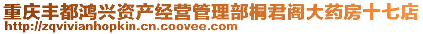 重慶豐都鴻興資產經營管理部桐君閣大藥房十七店