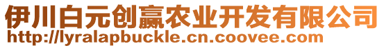 伊川白元創贏農業開發有限公司