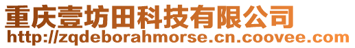 重慶壹坊田科技有限公司