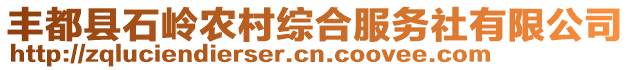 豐都縣石嶺農村綜合服務社有限公司