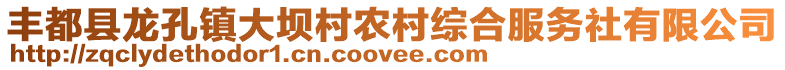 豐都縣龍孔鎮大壩村農村綜合服務社有限公司