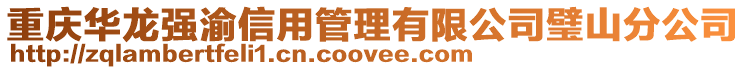 重慶華龍強渝信用管理有限公司璧山分公司