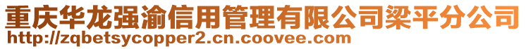 重慶華龍強(qiáng)渝信用管理有限公司梁平分公司