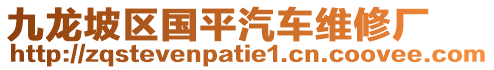 九龍坡區(qū)國平汽車維修廠