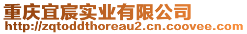 重慶宜宸實(shí)業(yè)有限公司