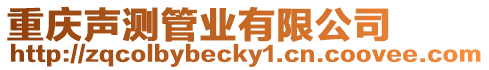 重慶聲測管業(yè)有限公司