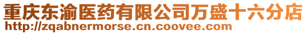 重慶東渝醫藥有限公司萬盛十六分店