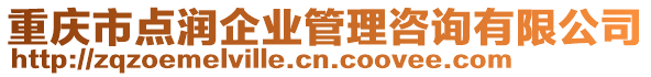 重慶市點(diǎn)潤企業(yè)管理咨詢有限公司