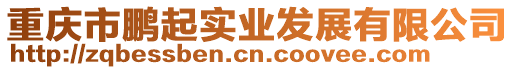 重慶市鵬起實業發展有限公司