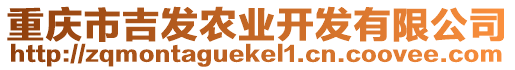 重慶市吉發(fā)農(nóng)業(yè)開發(fā)有限公司