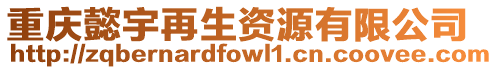 重慶懿宇再生資源有限公司