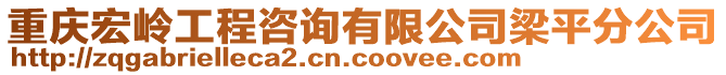 重慶宏嶺工程咨詢有限公司梁平分公司