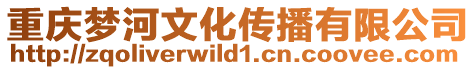重慶夢河文化傳播有限公司