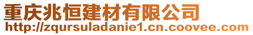 重慶兆恒建材有限公司