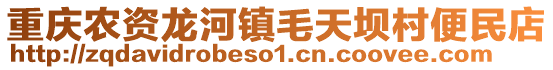 重慶農(nóng)資龍河鎮(zhèn)毛天壩村便民店