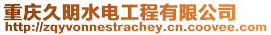 重慶久明水電工程有限公司