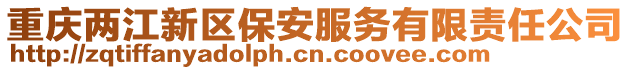 重慶兩江新區保安服務有限責任公司