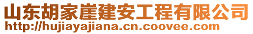 山東胡家崖建安工程有限公司