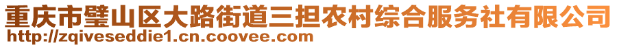 重慶市璧山區(qū)大路街道三擔農(nóng)村綜合服務社有限公司