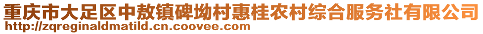 重慶市大足區(qū)中敖鎮(zhèn)碑坳村惠桂農(nóng)村綜合服務(wù)社有限公司