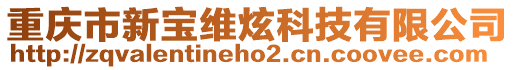 重慶市新寶維炫科技有限公司